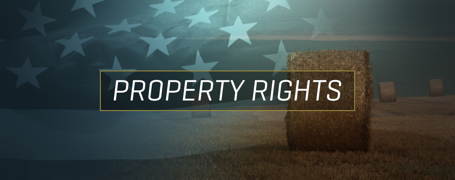 Security of property rights